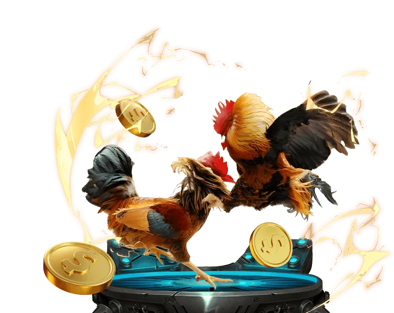 Cá cược bóng đá BK8